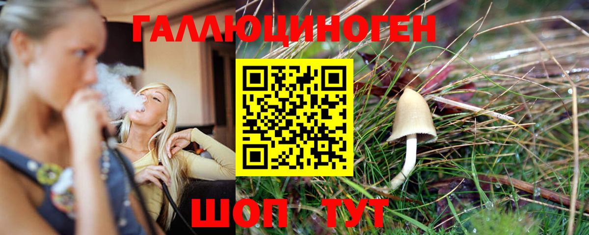 Псилоцибиновые грибы Cubensis  Вход с VPN  Великие Луки 
